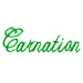 Carnation embroidery font