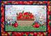 An Apple A Day Watercolor Quilt Kit and Border Bundle embroidery quilting