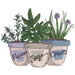 Potted Herbs embroidery design