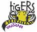 Louisiana Tigers embroidery design
