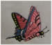 Pink Butterfly embroidery design