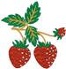 Strawberries embroidery design