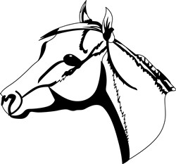 Horse Head Outline Vector Illustration | AnnTheGran.com