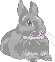 NETHERLAND DWARF RABBIT Vector Illustration | AnnTheGran.com