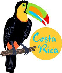 TOUCAN COSTA RICA Vector Illustration | AnnTheGran.com