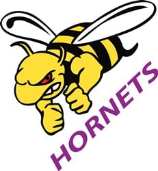 HORNETS Vector Illustration | AnnTheGran