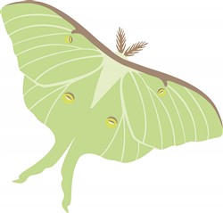 Luna Moth Vector Illustration | AnnTheGran.com