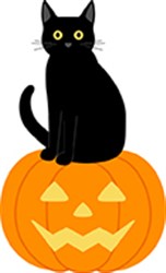 Cat On Pumpkin Vector Illustration | AnnTheGran.com