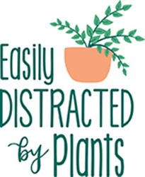 Easily Distracted Plants Vector Illustration | AnnTheGran.com