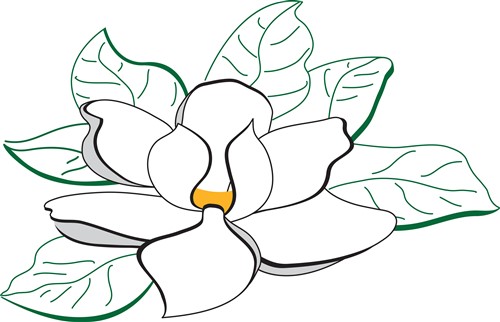 Magnolia Flower Vector Illustration | AnnTheGran