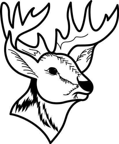Deer Head Outline Vector Illustration | AnnTheGran
