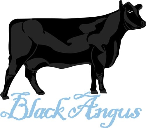 Black Angus Vector Illustration | AnnTheGran