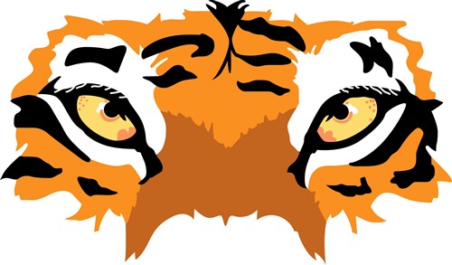 TIGER EYES Vector Illustration | AnnTheGran