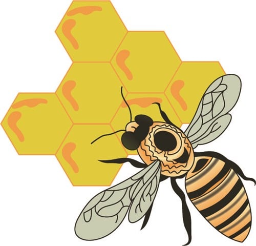 Bee in Honeycomb Vector Illustration | AnnTheGran