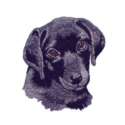 Black Lab Head Embroidery Design | AnnTheGran.com