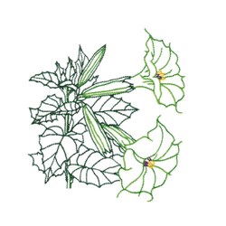Petunia outline embroidery design  annthegran Petunia outline embroidery design  annthegran