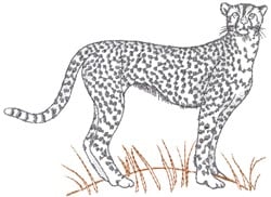 Cheetah Embroidery Design | AnnTheGran.com