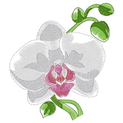Orchid Embroidery Design | AnnTheGran