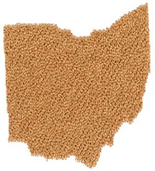 Ohio state embroidery design  annthegran Ohio state embroidery design  annthegran