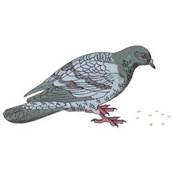 Pigeon embroidery design  annthegran Pigeon embroidery design  annthegran