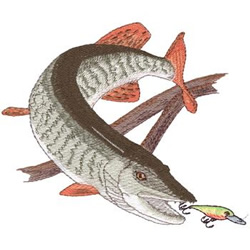 Muskie Fish Clipart