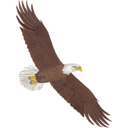 Bald Eagle Logo Embroidery Design