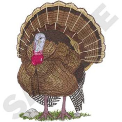 Wild turkey embroidery design  annthegran Wild turkey embroidery design  annthegran