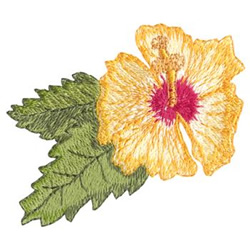 21+ Hibiscus Embroidery Pattern