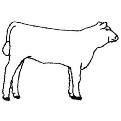 Show Heifer Outline Embroidery Design | AnnTheGran.com