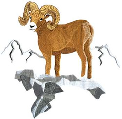 Bighorn sheep scene jessecmault design  annthegran