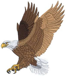 Eagle Embroidery Design | AnnTheGran