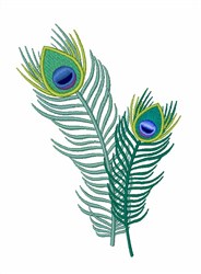 Peacock Feathers Embroidery Design