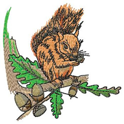 Squirrel Embroidery Design | AnnTheGran.com