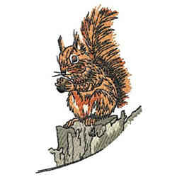 Squirrel Embroidery Design 