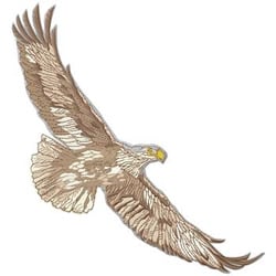 Eagle Embroidery Design | AnnTheGran.com