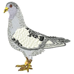 Pigeon embroidery design  annthegran Pigeon embroidery design  annthegran