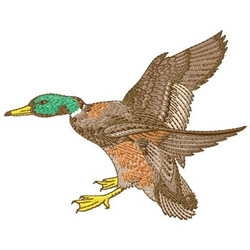 Duck embroidery design  annthegran