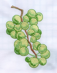 Bunch of grapes jessecmault design  annthegran