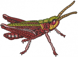 Cricket embroidery design annthegran Cricket embroidery design annthegran