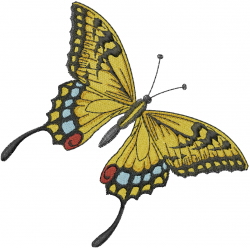 Butterfly Embroidery Design | AnnTheGran