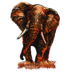 Trunk Up Elephant Embroidery