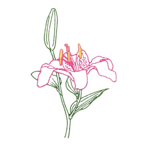 Stargazer Lily Embroidery Design AnnTheGran