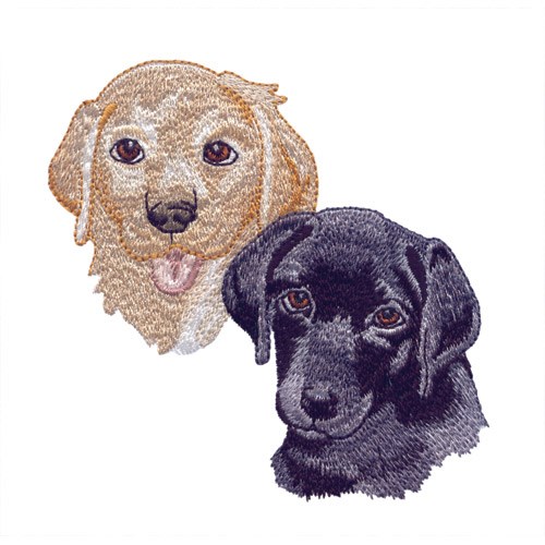 Yellow And Black Lab Heads Embroidery Design | AnnTheGran