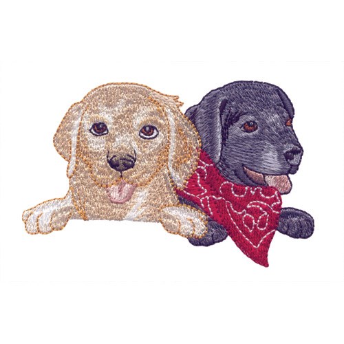 Yellow And Black Lab Heads Embroidery Design | AnnTheGran