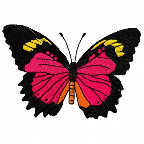 Malay Lacewing Embroidery Design AnnTheGran