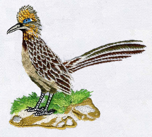 Greater Roadrunner Embroidery Design AnnTheGran