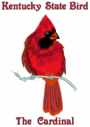 Kentucky State Bird Embroidery Design | AnnTheGran