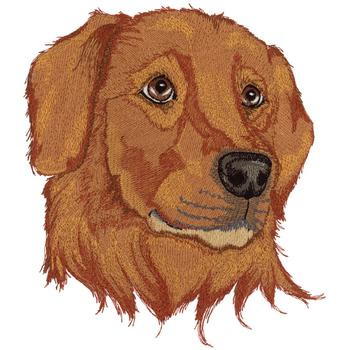 Golden Retriever Embroidery Design | AnnTheGran