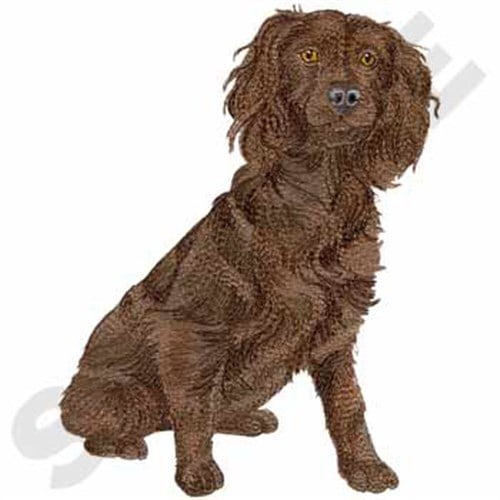 stuffed boykin spaniel