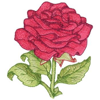 Red Rose Embroidery Design | AnnTheGran